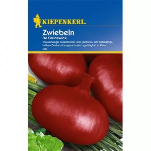 Sjeme luka Braunschweiger