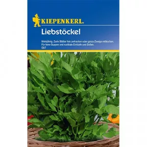 Sjeme lovage (leuștean) višegodišnji
