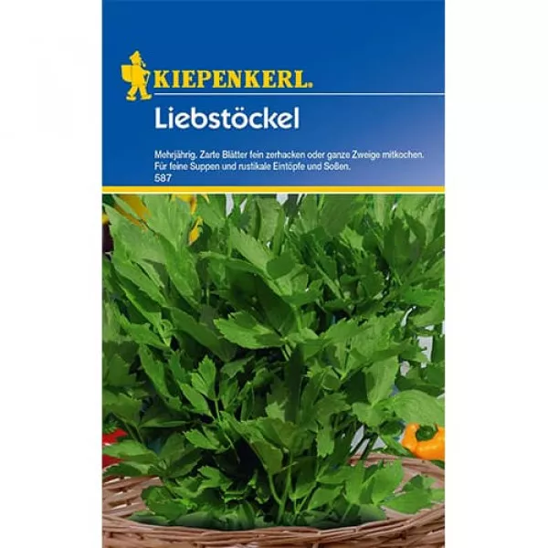 Sjeme lovage (leuștean) višegodišnji