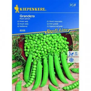 Sjeme graška Grandera