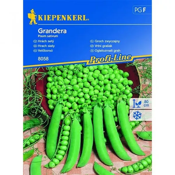 Sjeme graška Grandera