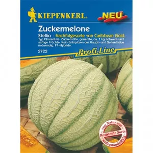 Sjeme dinje Stellio F1