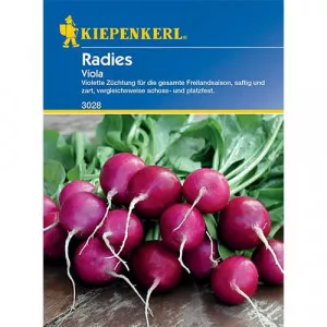 Sjeme rotkvice Viola