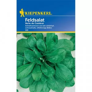 Sjeme matovilca (poljska salata) Verte de Cambrai