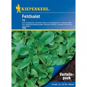Sjeme matovilca (poljska salata) Vit