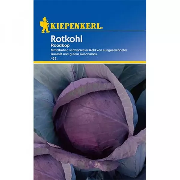 Sjeme crvenog kupusa Schwarzkopf 2