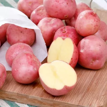 Sjemenski krumpir Bellarosa