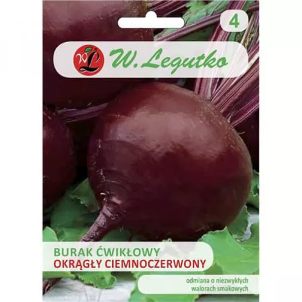 Sjeme cikle Dark Red
