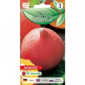 Sjeme bundeve Uchiki Kuri (Hokkaido)