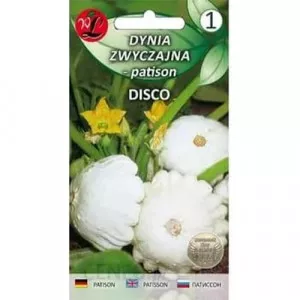 Sjeme patisona Disco