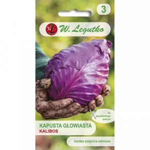 Sjeme crvenog kupusa Kalibos