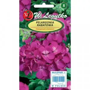 Sjeme pelargonije Gama F1 ljubičasta