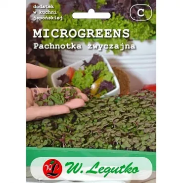 Sjeme mikrozelenja - shiso (perilla)