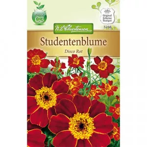 Sjeme kadifice (tagetes) Disco Red