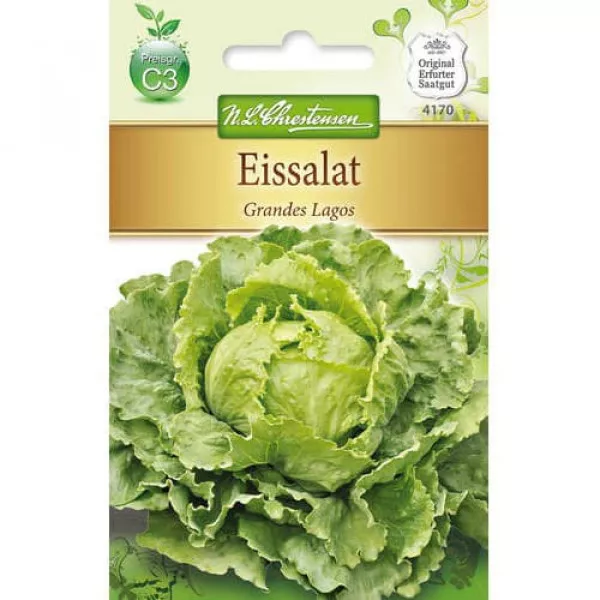 Sjeme iceberg salate Grandes Lagos