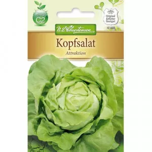 Sjeme zelene salate Attraktion