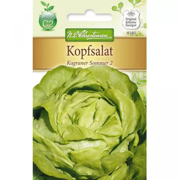 Sjeme zelene salate Kagraner Sommer 2