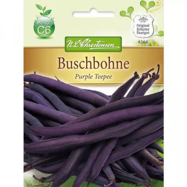 Sjeme graha Purple Teepee
