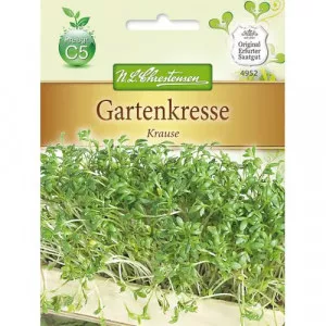 Sjeme vrtne kres salate Krause, dupli paket
