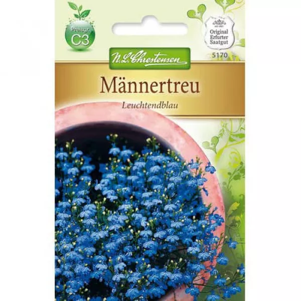 Sjeme lobelije Bright Blue