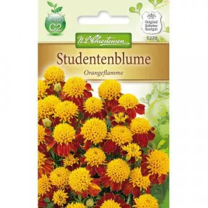 Sjeme kadifice Orange Flame