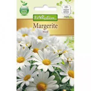 Sjeme krizanteme White