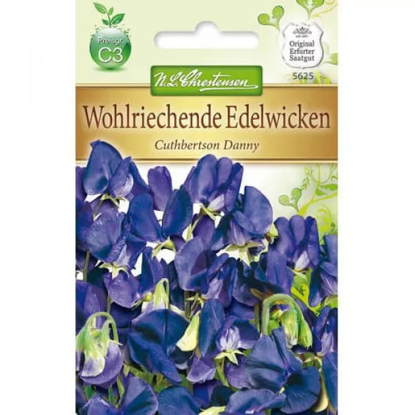 Sjeme Lathyrus odoratus (slatki grašak) Cuthbertson Danny