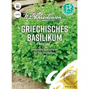 Sjeme grčkog bosiljka Bascuro