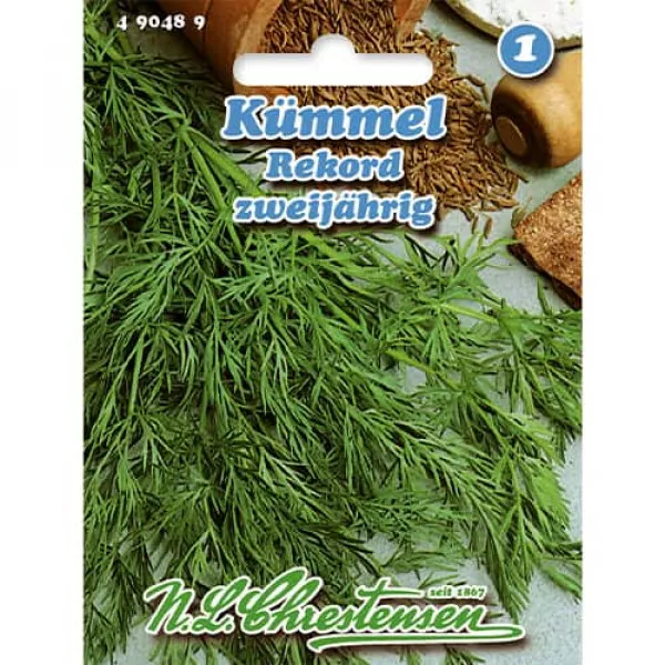 Sjeme kima (carum carvi) Rekord