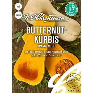 Sjeme bundeve Orange Nut F1