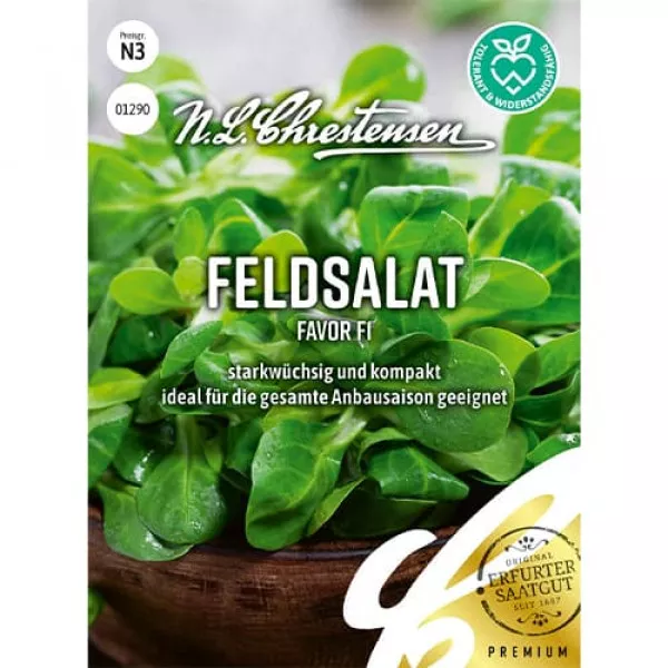 Sjeme matovilca (poljska salata) Favor F1