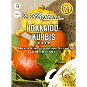 Sjeme bundeve Uchiki Kuri