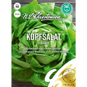 Sjeme zelene salate Dynamite