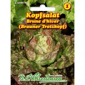 Sjeme salate Brune d'hiver