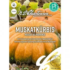 Sjeme bundeve Muscat de Provence