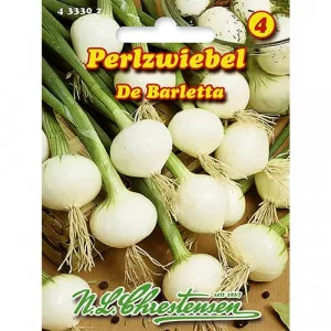 Sjeme mladog luka De Barletta