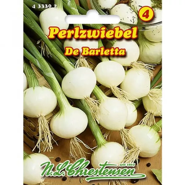 Sjeme mladog luka De Barletta