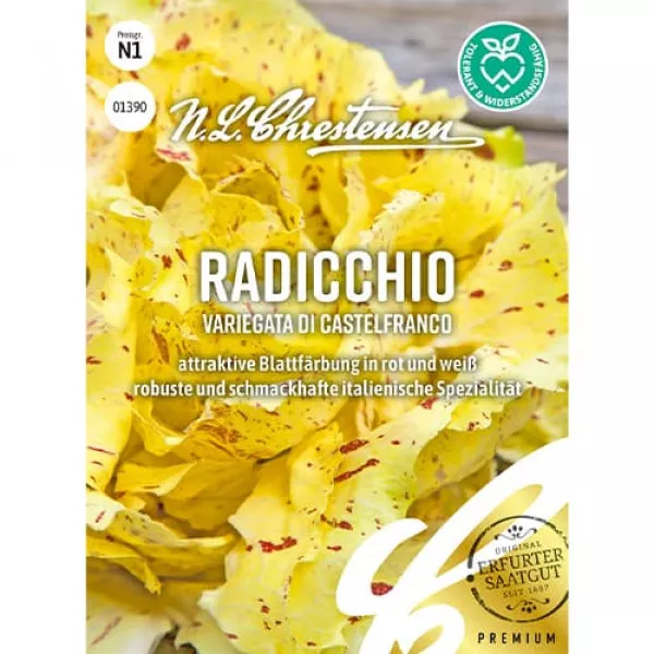 Sjeme cikorije (radicchio) Variegata di Castelfranco