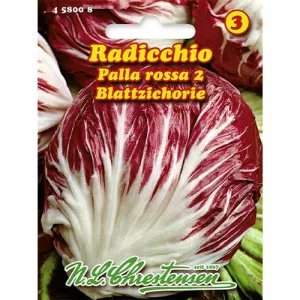 Sjeme crvene cikorije (radicchio) Palla Rossa 2