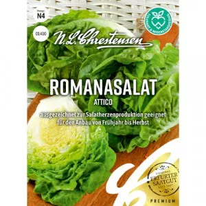 Sjeme rimske salate Attico