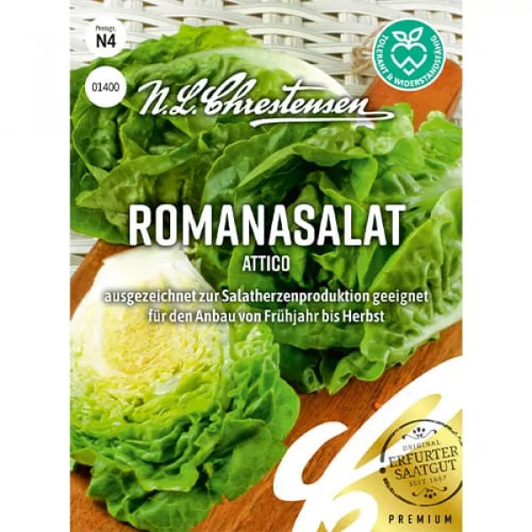 Sjeme rimske salate Attico