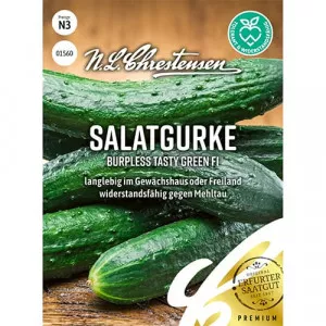 Sjeme krastavca Burpless Tasty Green F1