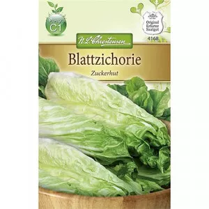 Sjeme bijelog radiča (radicchio) Zuckerhut