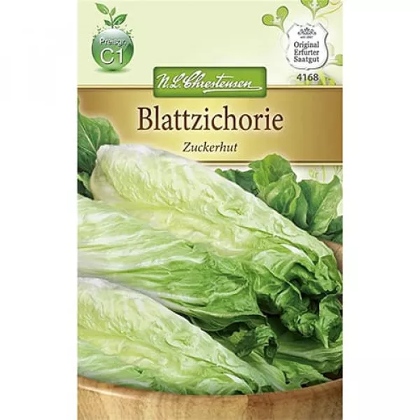 Sjeme bijelog radiča (radicchio) Zuckerhut