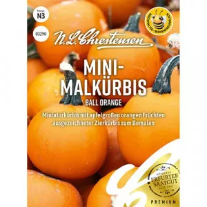 Sjeme ukrasne tikve Ball Orange
