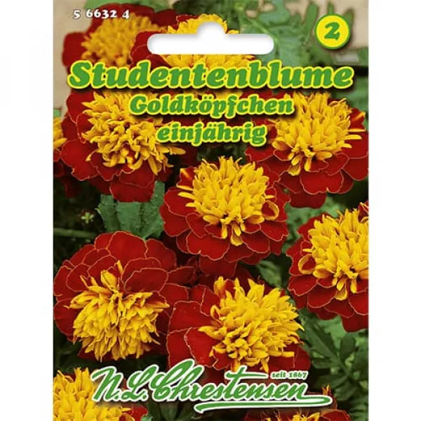 Sjeme patuljaste kadifice Gold Heads