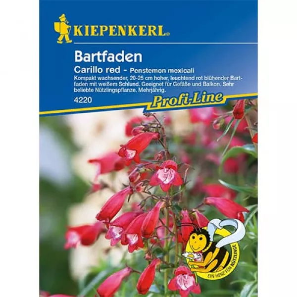 Sjeme penstemona Carillo Red