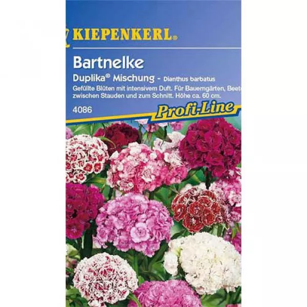 Sjeme turskog karanfila Duplika