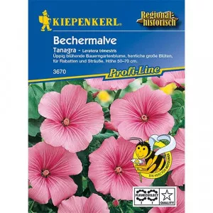 Sjeme lavatere (Lavatera trimestris) Tanagra Rosa