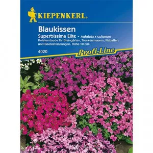 Sjeme aubriete Superbissima Elite